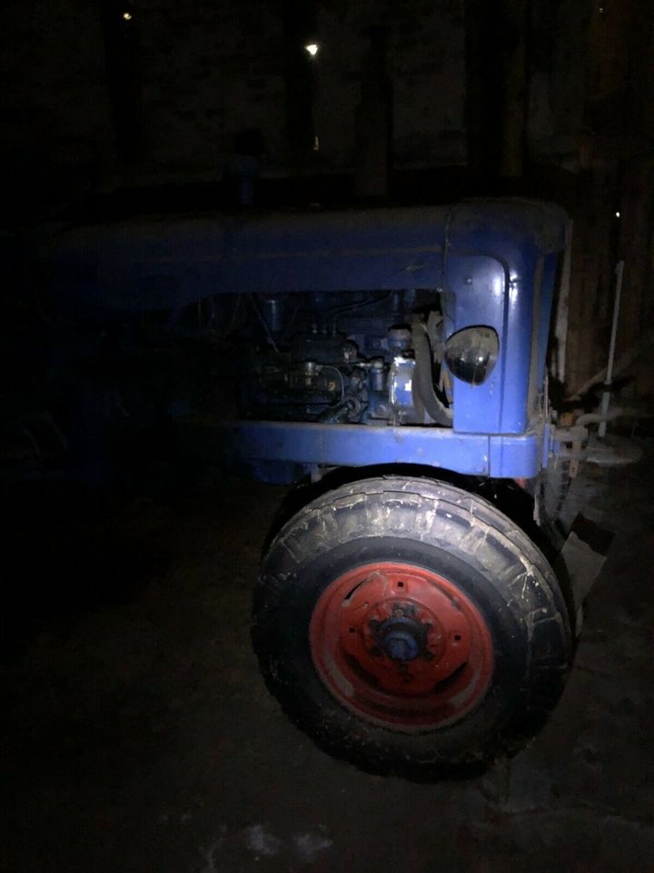 REDUZIERT Fordson Oldtimer Trecker original Zustand in Visselhövede