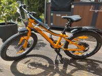 Kinderfahrrad Scott Scale 20 rigid Nordrhein-Westfalen - Mettmann Vorschau