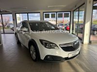 Opel Insignia A Country Tourer Basis Automatik/Xenon Rheinland-Pfalz - Kirchheimbolanden Vorschau