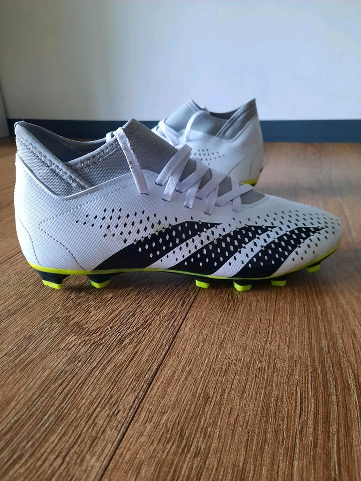 Adidas Predator Accuracy. 4 in Rheine