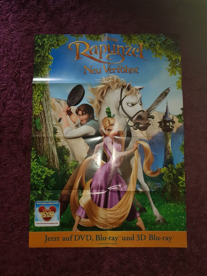 Disney Rapunzel neu verföhnt Kino Poster in Warendorf