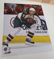 Minnesota Wild - verschiedene 20x25cm 8x10 Fotos NHL Eishockey Bremen-Mitte - Bremen Altstadt Vorschau