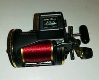 Daiwa SG47LCA Angelrolle OVP Sachsen - Ostrau Vorschau