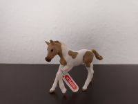 Schleich Paint-Horse Fohlen 13886 Pferd Figur Horse Baden-Württemberg - Sulzfeld Vorschau