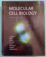 Molecular Cell Biology, sixth edition Dresden - Neustadt Vorschau