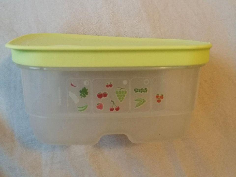 Tupperware Klima Oase Kühlschrank Vorratsdose 375ml neuwertig in Oberhausen