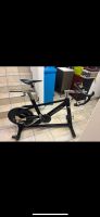 SRM Indoor Trainer / Cervelo/Trek/ Pinarello/ Canyon Bayern - Rosenheim Vorschau