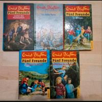 Fünf Freunde Bücher Rheinland-Pfalz - Rehe Vorschau