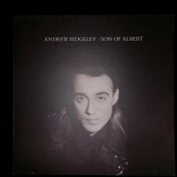 Andrew Ridgeley, Vinyl, LP, Schallplatte,  mint Bayern - Paunzhausen Vorschau