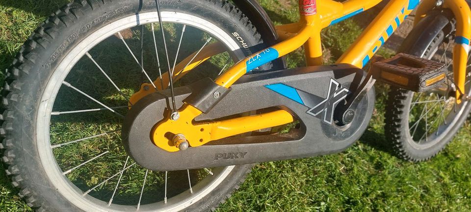 Kinder Fahrrad Puky ZLX 16 Alu in Fahrdorf