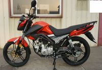 ROMET ZXT 50 EURO 5 MOPED Nordrhein-Westfalen - Gütersloh Vorschau