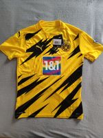 BVB Borussia Dortmund - Home-Trikot 20/21 Puma in M - SONDER Bayern - Hallstadt Vorschau