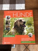 Hunde Ratgeber Lingen Nordrhein-Westfalen - Windeck Vorschau
