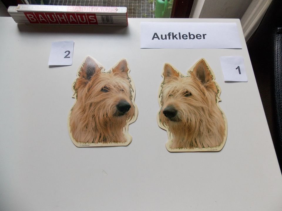 Terrier, Aufkleber in Preetz