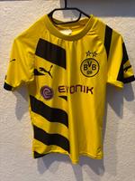 Borussia Dortmund Trikot aus der Saison 2014/15 Güstrow - Landkreis - Teterow Vorschau