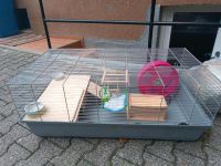 Hamsterkäfig mit ganz viel Zubehör Hessen - Eppstein Vorschau