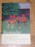 Kentucky - an Insider's Guide von Susan Reigler Bayern - Adelschlag Vorschau