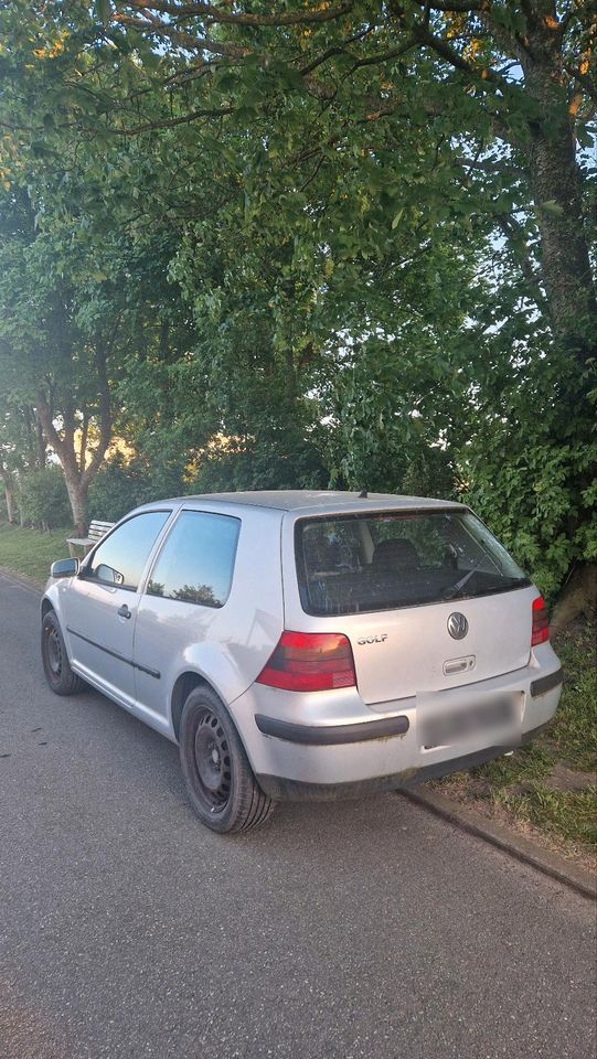 Volkswagen Golf 4 1.4 16v in Husum
