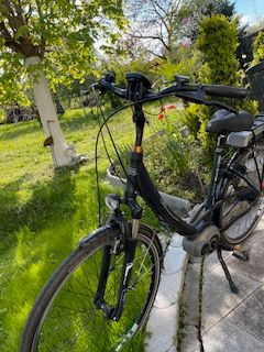 E. Bike Riverside City Nexus 8 Gang Rücktritt, 28 Zoll in Rehlingen-Siersburg