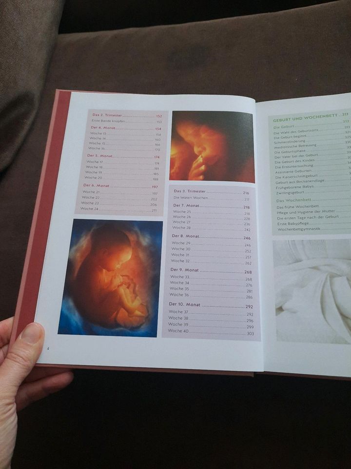 Das große Buch zur Schwangerschaft von GU in Chemnitz