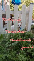 Tierfreunde Tierschutz Hundeliebhaber Chihuahuafreunde Bayern - Lichtenfels Vorschau