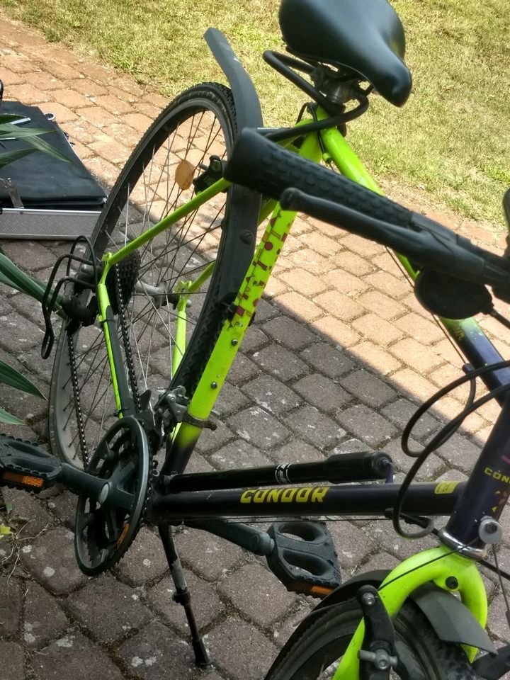 Fahrrad Herrenrad Marke CONDOR in Bröckel