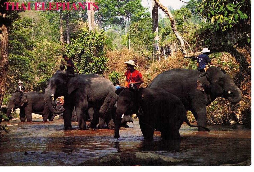 Postkarten aus Thailand in Siegen