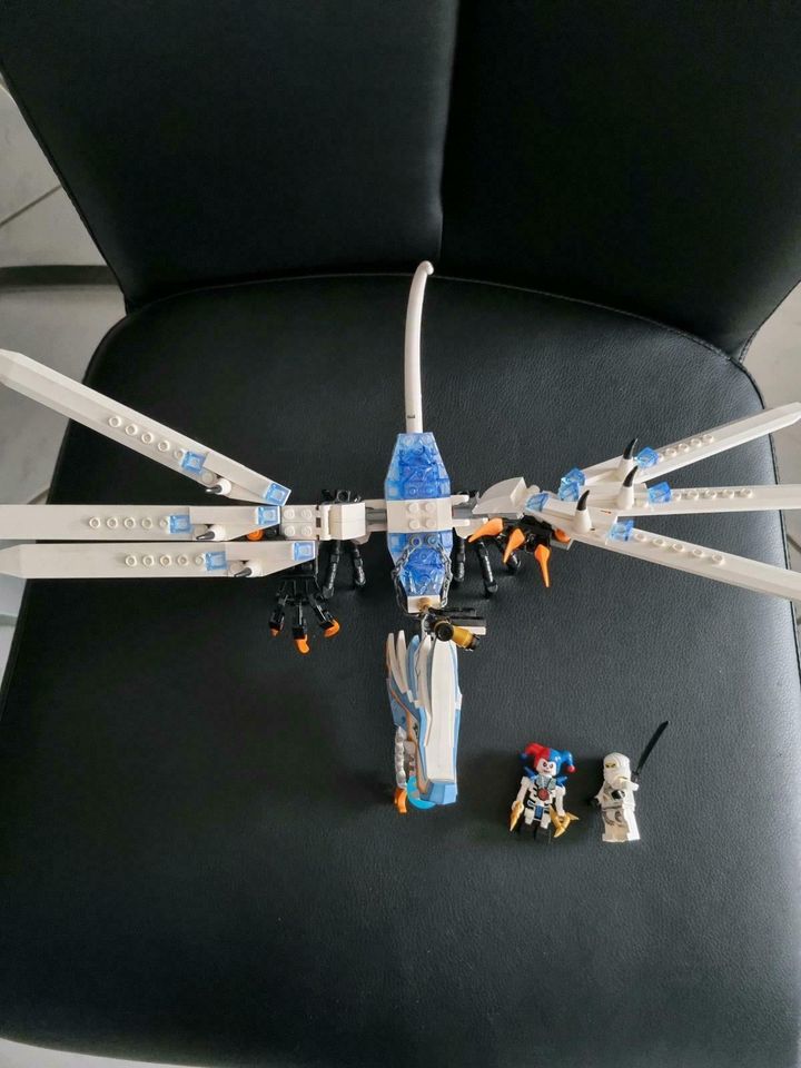 Lego Ninjago 2260 - Eisdrache in Schillingen