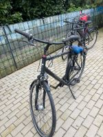 Herren Fahrrad Pegasus Solero Nordrhein-Westfalen - Lüdinghausen Vorschau