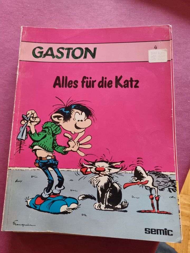 GASTON  Comics in Saarbrücken