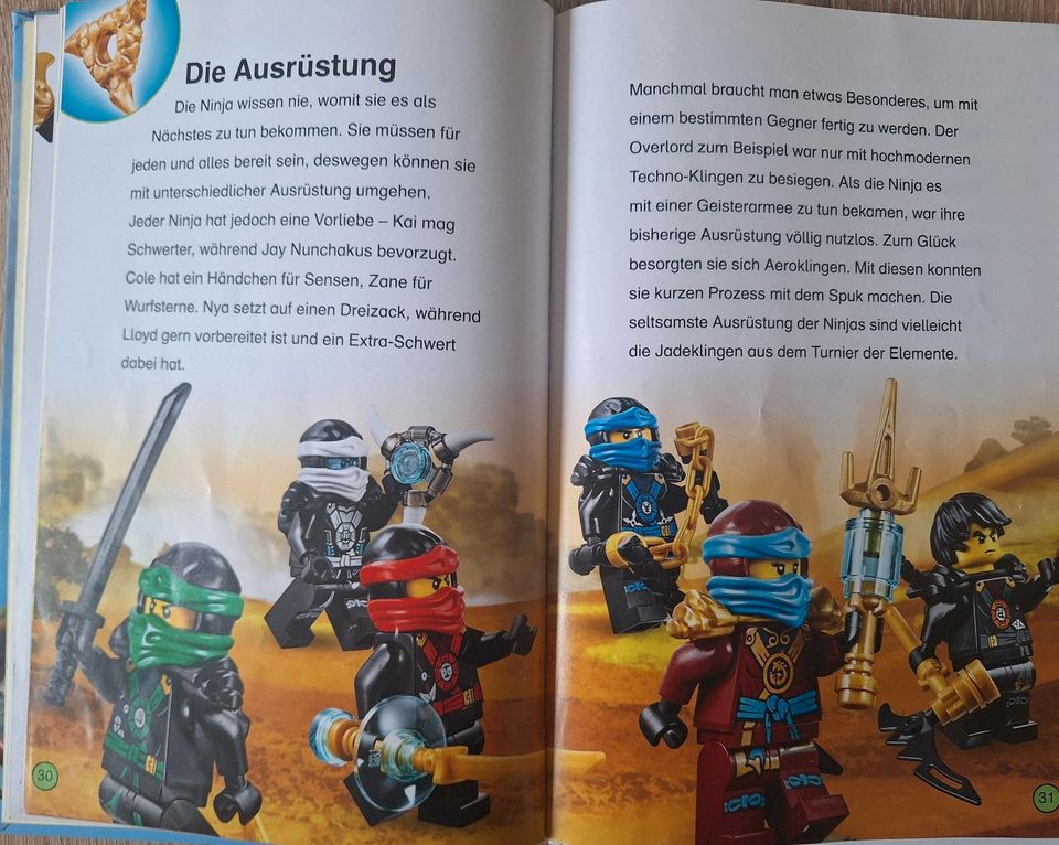 Lego Ninjago Bücher in Katlenburg-Lindau