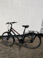 Giant Damen Trekking Fahrrad Nordrhein-Westfalen - Versmold Vorschau