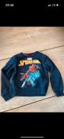 Pullover Spiderman 110 Sachsen-Anhalt - Magdeburg Vorschau