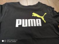 Puma T-shirt Gr. 152 Nordrhein-Westfalen - Solingen Vorschau