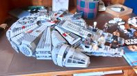 Lego Star Wars 75105 Millenium Falcon Falke Baden-Württemberg - Wallhausen Vorschau