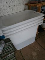 4x IKEA Trofast Box Mecklenburg-Vorpommern - Lassan (Vorpommern) Vorschau