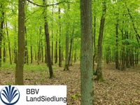 gepflegtes Waldgrundstück, nähe Ellertshäuser See Bayern - Stadtlauringen Vorschau