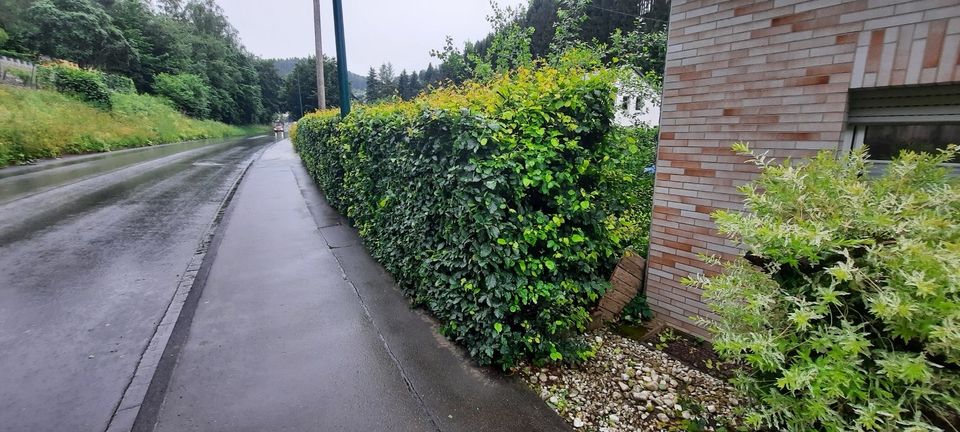 Garten- und Landschaftsbauer! Pflaster, Tiefbau Transport Bagger in Gummersbach