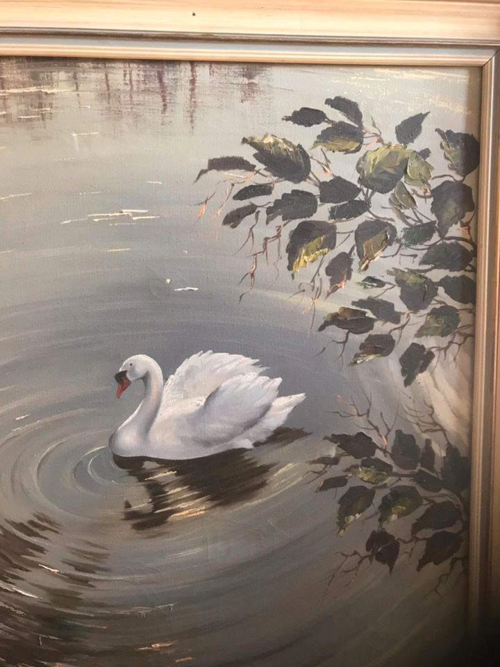 Gemälde Öl Schwan gemalt, gespachtelt signiert Silcher in Untermeitingen