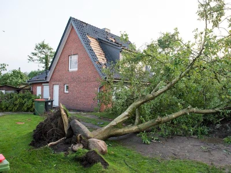 Sturmschaden / Notdienst / Baum auf Haus in Rostock