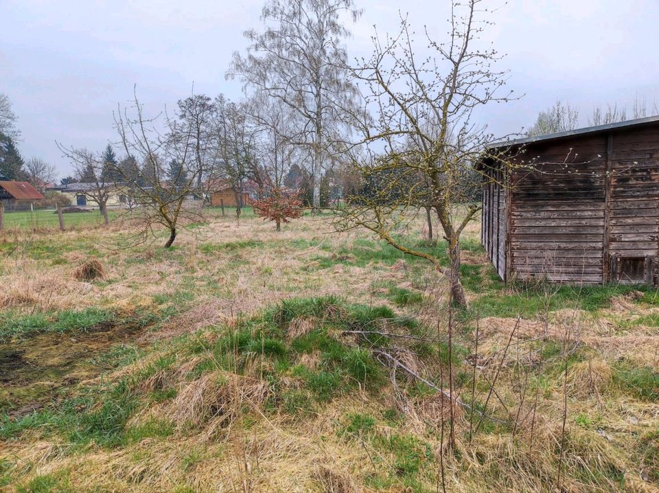 Vermiete Verpachte Wiese Wiesenfläche Garten Tierhaltung Solar in Gotha