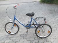 blaues 20" fahrrad dreirad lastenfahrrad haverich therapierad Kla Bayern - Roth Vorschau