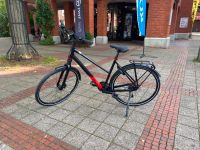 Fahrrad Koga F3 5.0 black, 50 cm, Größe M Nordrhein-Westfalen - Everswinkel Vorschau