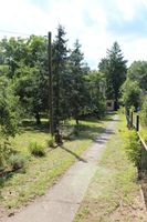 Grundstück mit altem Haus zu verkaufen Brandenburg - Eggersdorf Vorschau