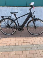 Campus BM28 Herren E-Bike Rh49cm Brose 500Wh 8Gang Leerlauf Rheinland-Pfalz - Ludwigshafen Vorschau