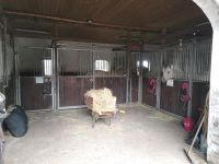 Box frei / Stall frei Pferdebox Nordrhein-Westfalen - Wadersloh Vorschau