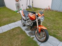 Honda CB600 Hornet Nordrhein-Westfalen - Lippstadt Vorschau