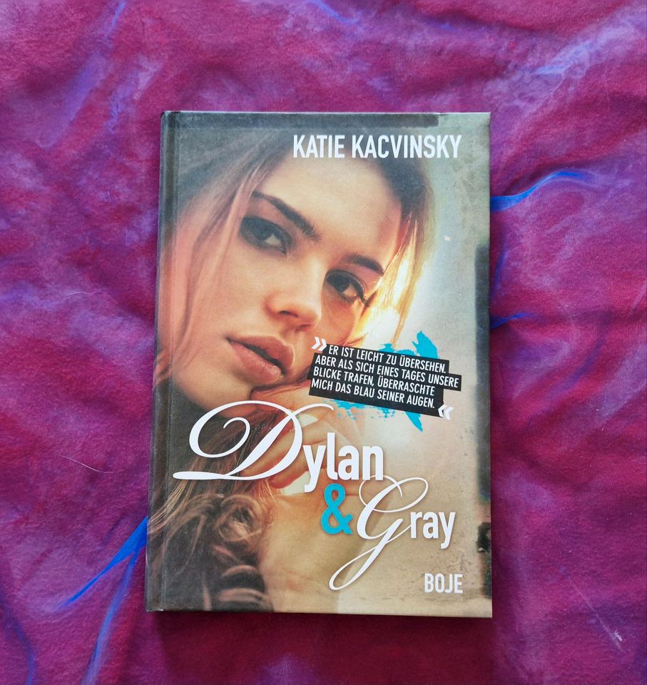 Buch / Jugendroman "Dylan & Gray" von Katie Kacvinsky in Radbruch