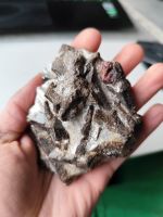 XL Staurolith + Granat SELTEN Heilstein MineralSteine Mineralien Bayern - Creußen Vorschau