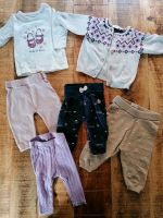Kleidungsset Baby Babyset Lichtentanne - Stenn Vorschau
